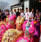 热烈祝贺中山市安徽商会常务副会长单位宝盛地产 双盘联动 再创辉煌